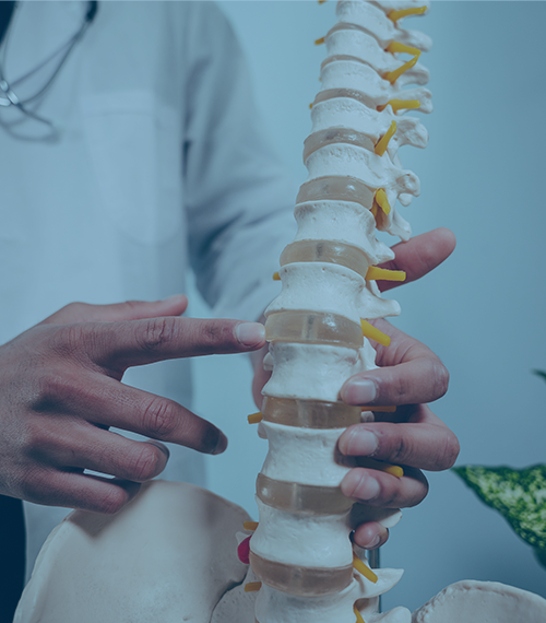 Physical Therapy - Doctor Pointing At Spine Image